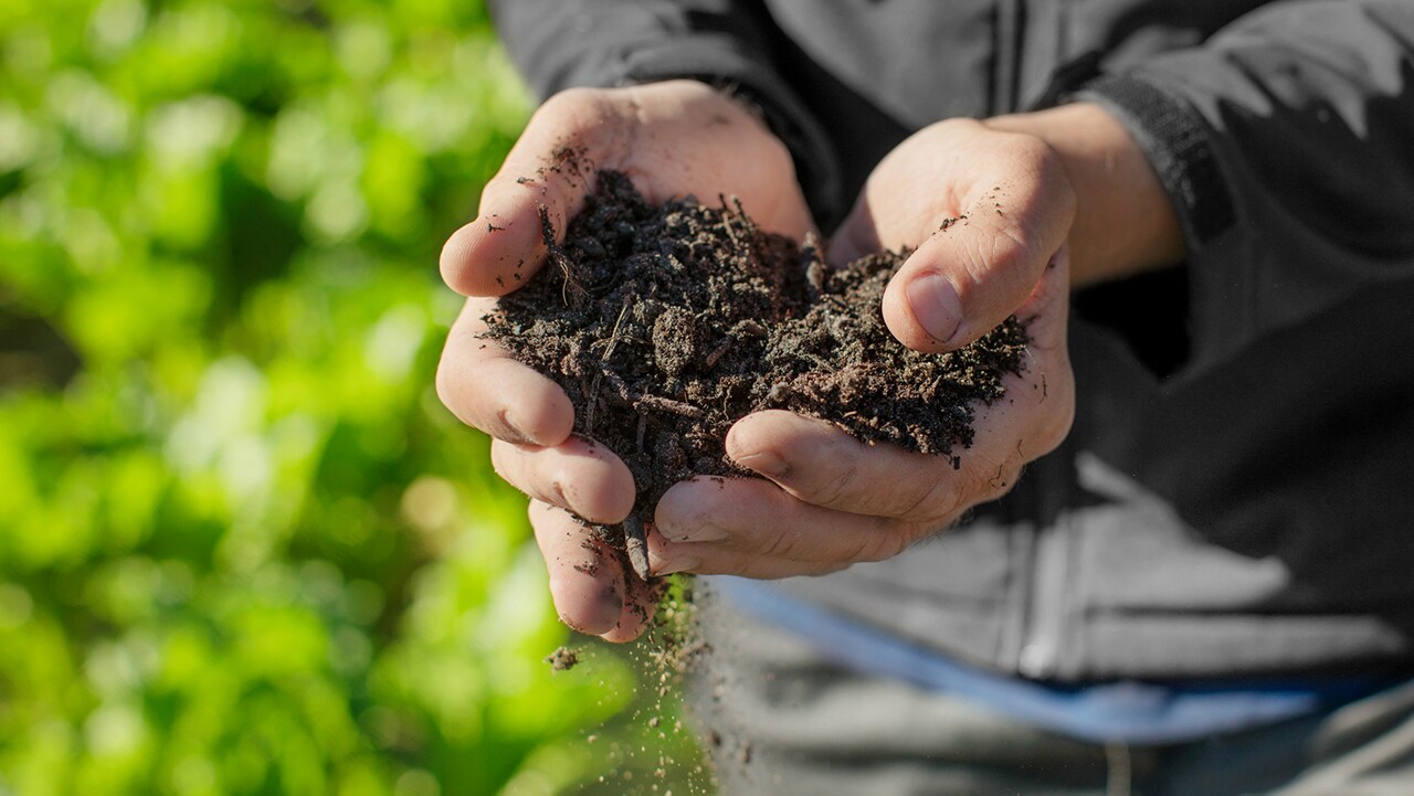 News and Stories Bayer United States